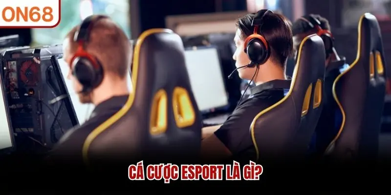 Cá cược Esport là gì?